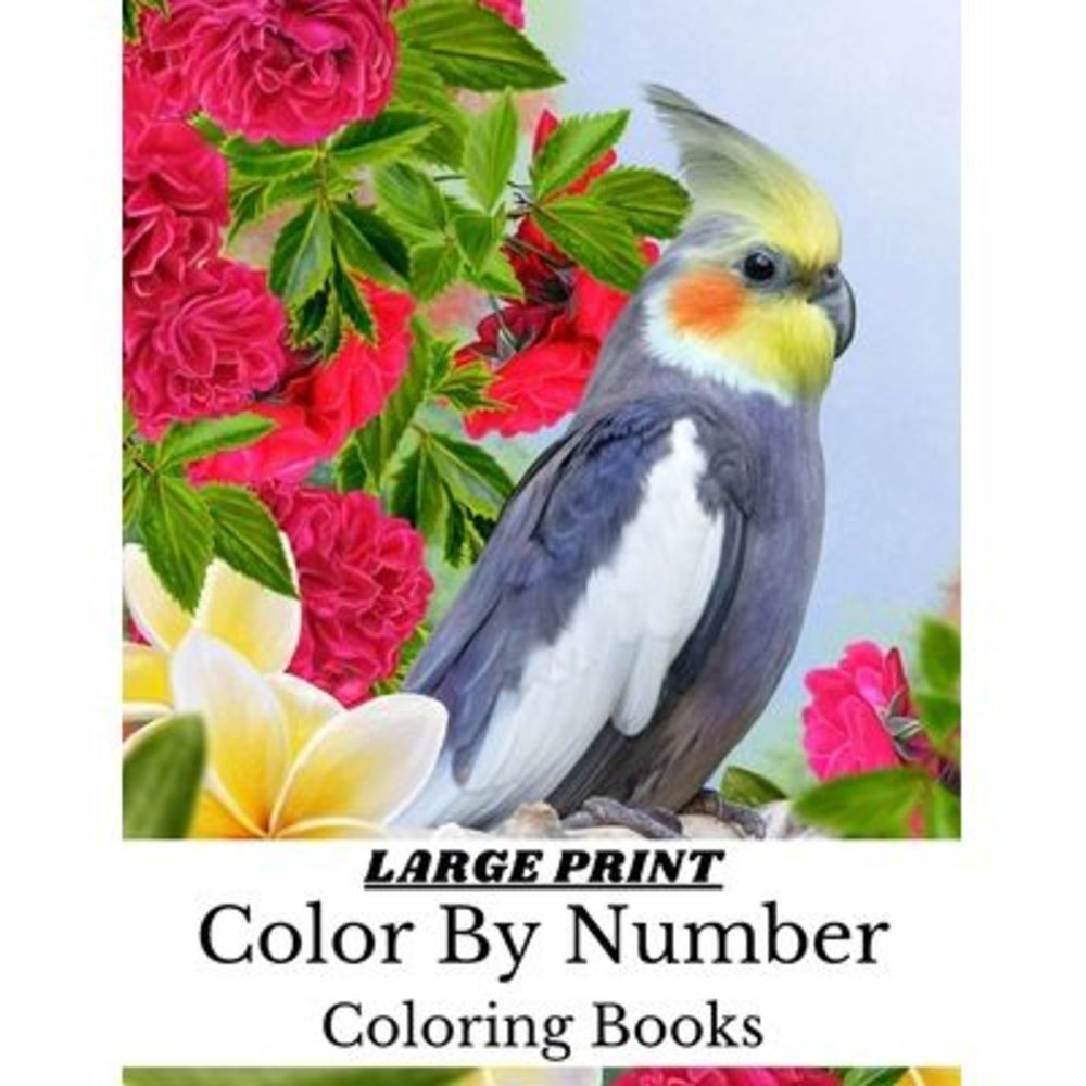Large Print Color By Number Coloring Books: Large Print Birds, Animals and Butte